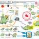 Illustration for article titled Infographic shows you how award-winning science fiction is born